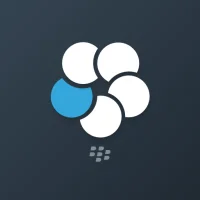 BlackBerry Work